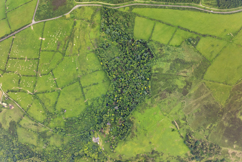 Ballalheannag Gardens, Baldhoon Road Glen Roy, Laxey IM4 7QB. — Photo 2 of 24