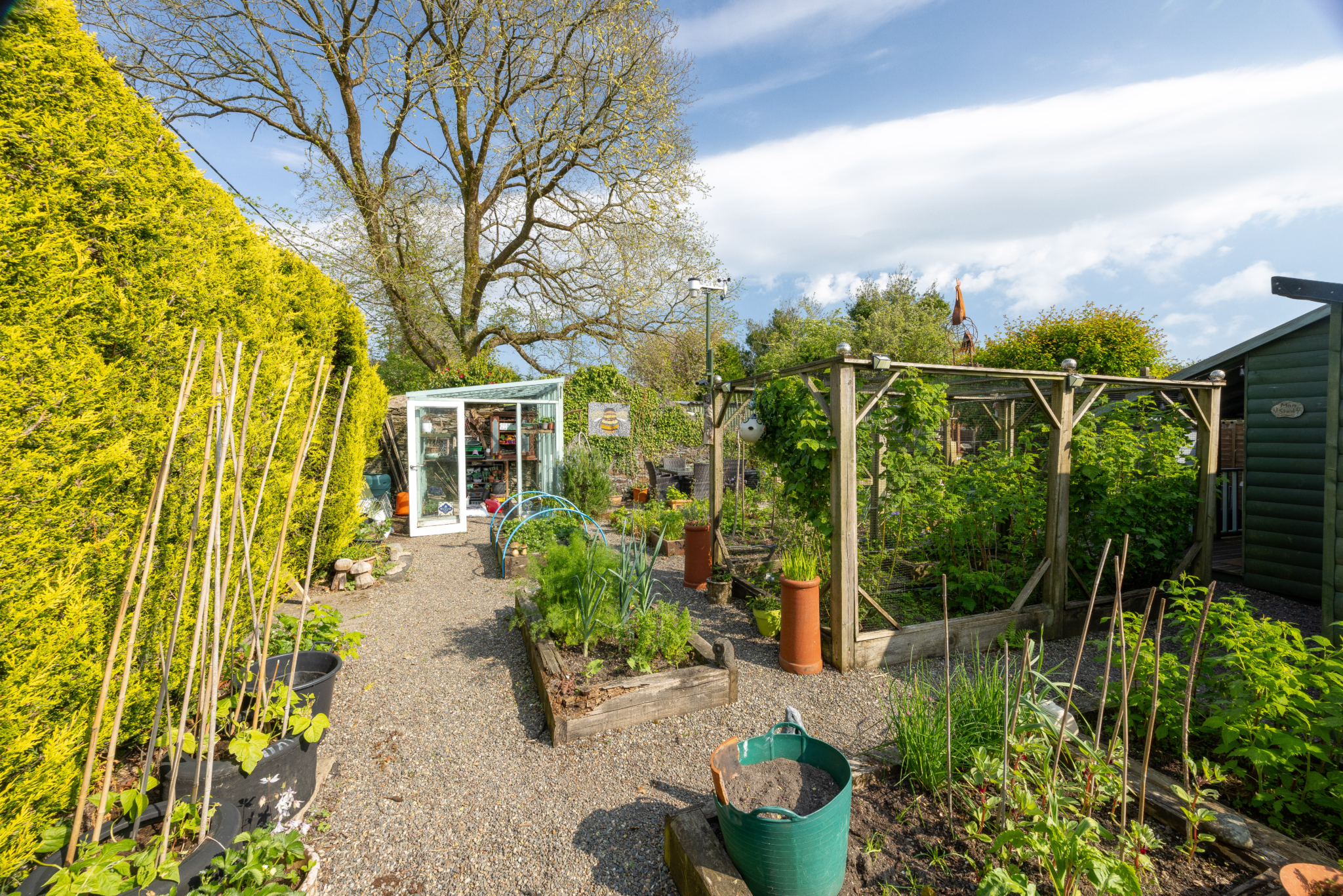 Lifestyle Allotment, Main Road, Greeba, St Johns. — Photo 2 of 10
