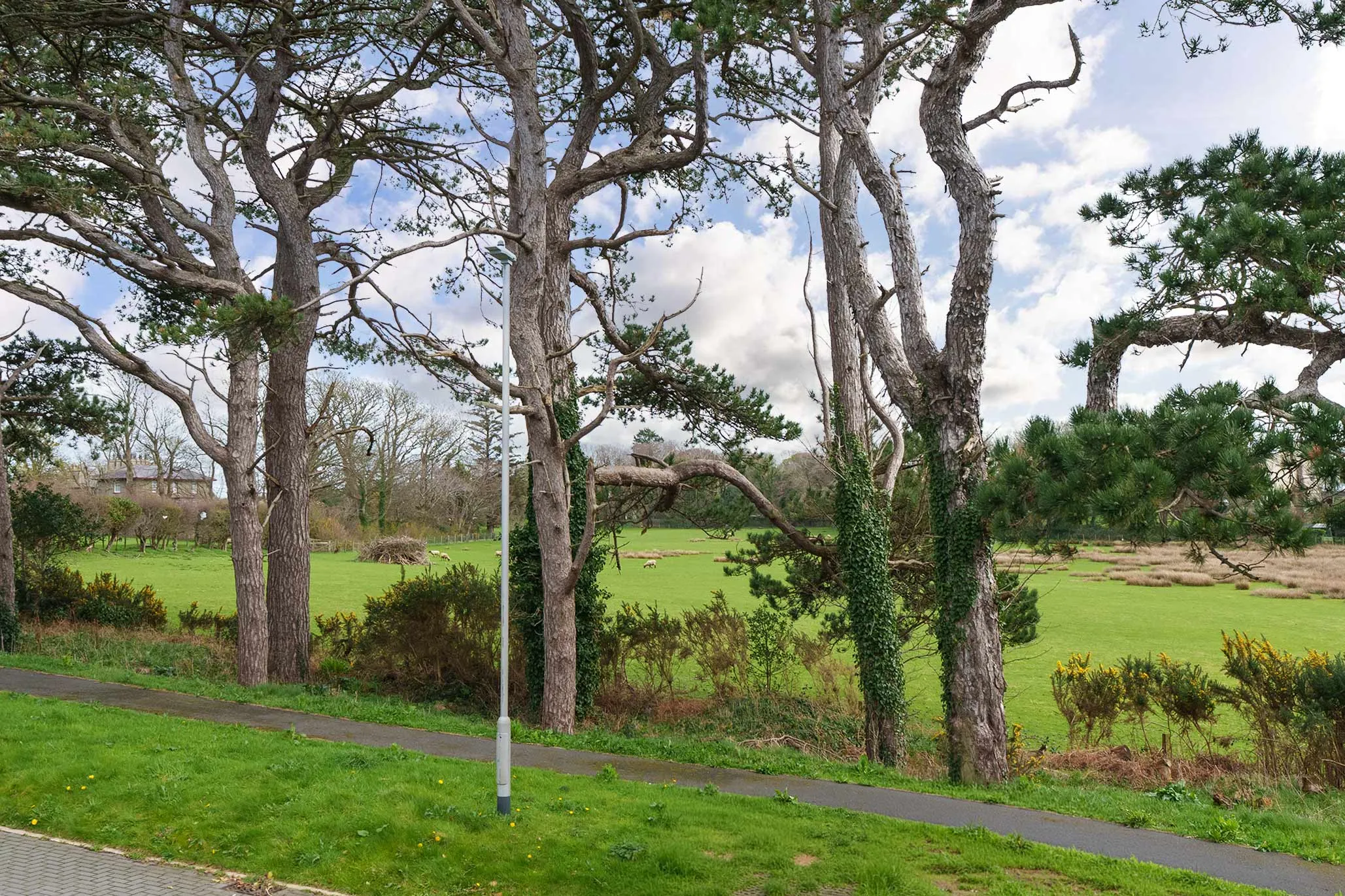 31 Gibbs Grove, Ramsey. — Photo 4 of 5
